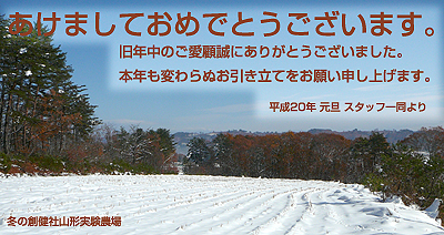 2008年 謹賀新年 2008年 謹賀新年